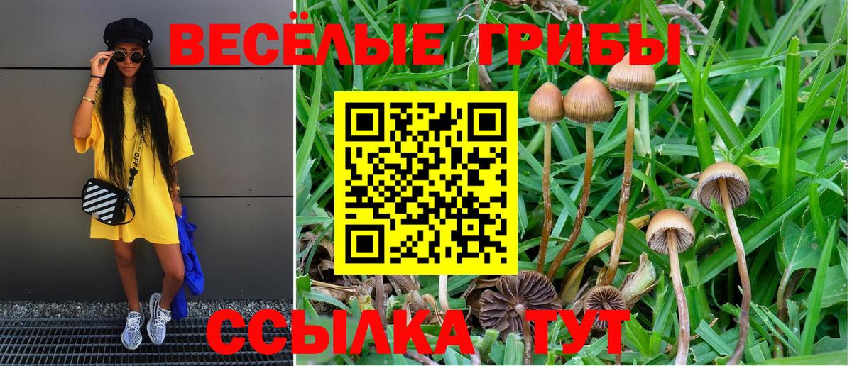 Псилоцибиновые грибы Magic Shrooms Майкоп