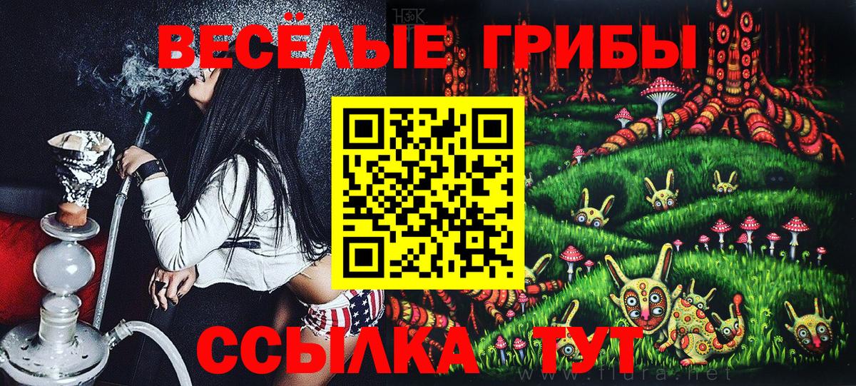 Галлюциногенные грибы мицелий  Вход с VPN  Майкоп 