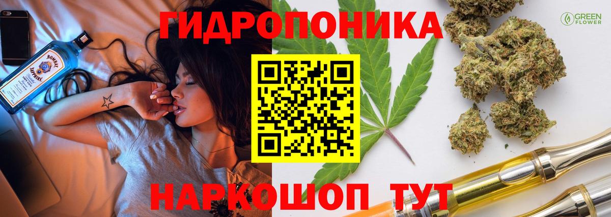 Марихуана сатива Майкоп